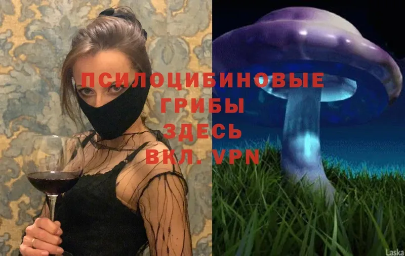 blacksprut ТОР  где купить наркоту  Жирновск  Псилоцибиновые грибы Magic Shrooms 